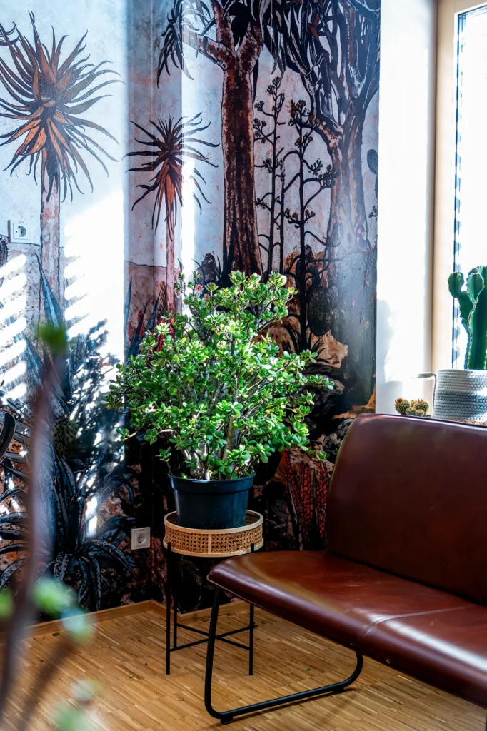 Ansicht Warteraum mit Grünpflanze