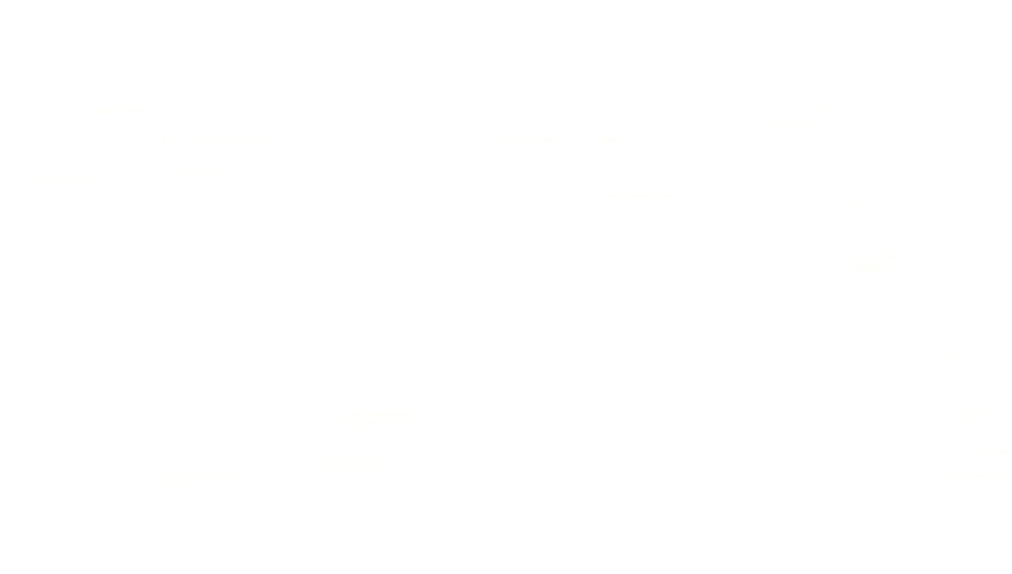 begriffe_netzwerk_neuBG